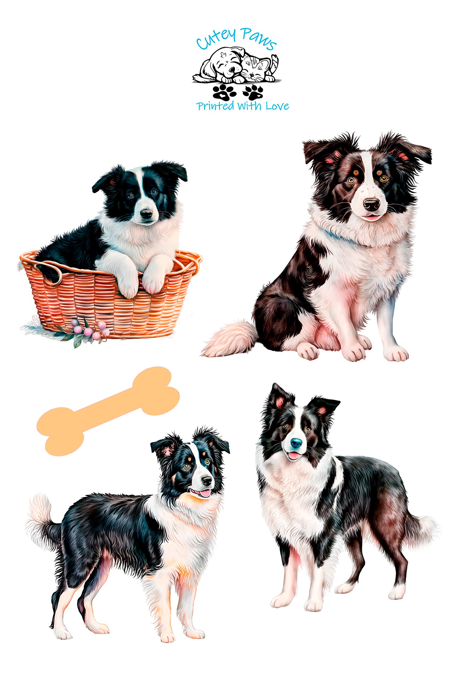 collie printed stickers